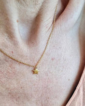 Load image into Gallery viewer, Dusted Single Star Necklace - (Gold Plated Sterling Silver)