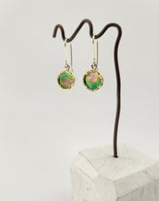 Load image into Gallery viewer, Round Drop Earrings - Paua with 22ct Gold Edge