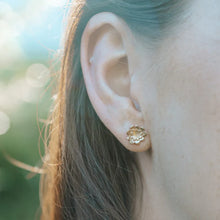 Load image into Gallery viewer, Briar Flower Studs - 9ct yellow gold