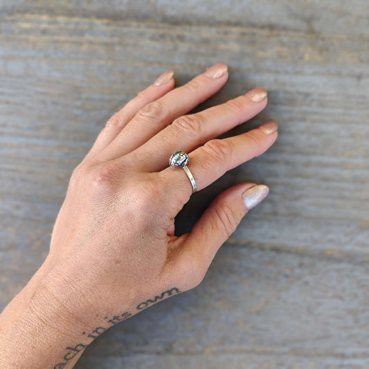 Brain Anatomical Ring