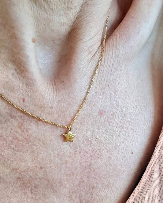 Dusted Single Star Necklace - (Gold Plated Sterling Silver)
