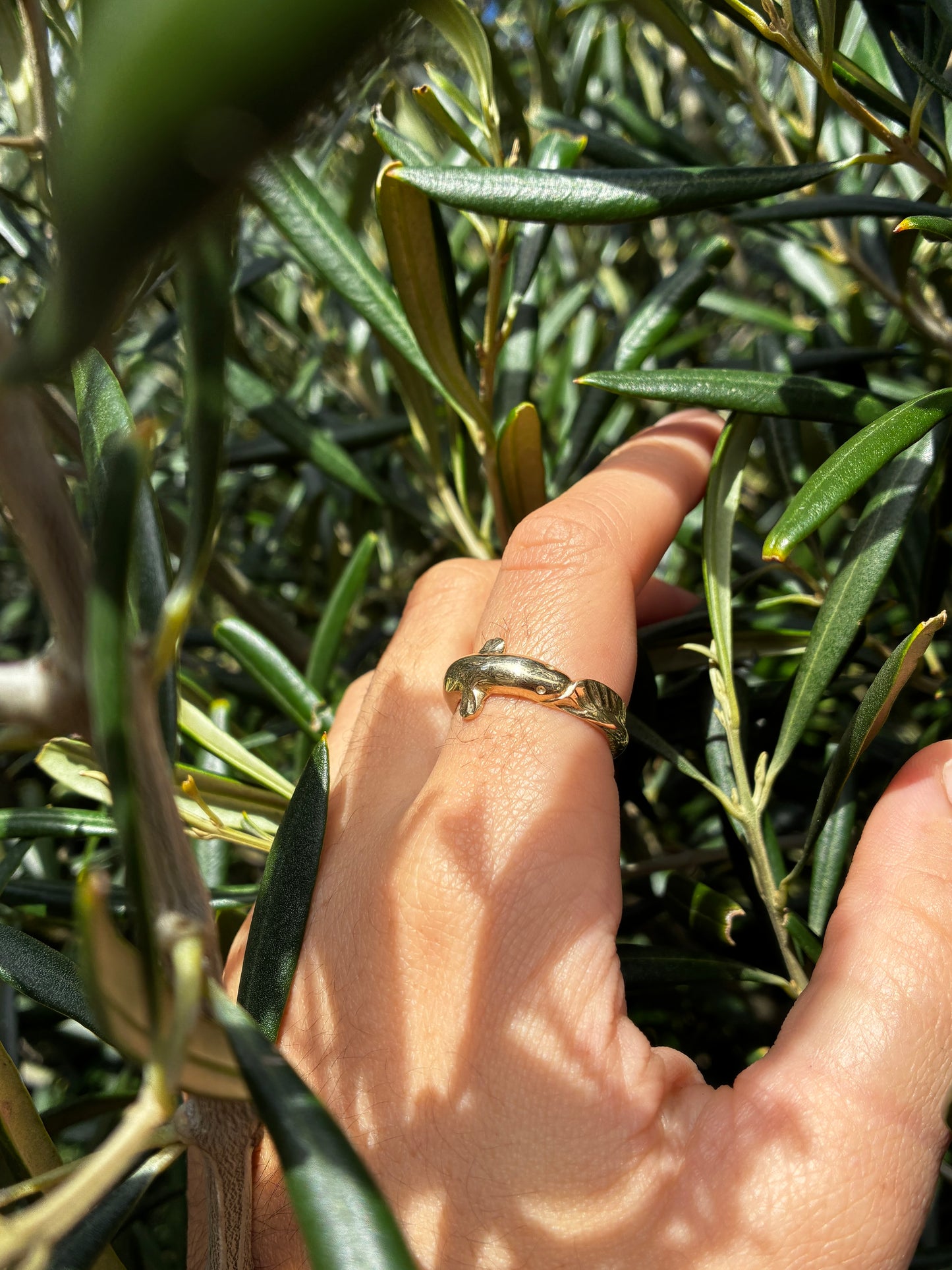 Tuna Ring - 9ct yellow gold