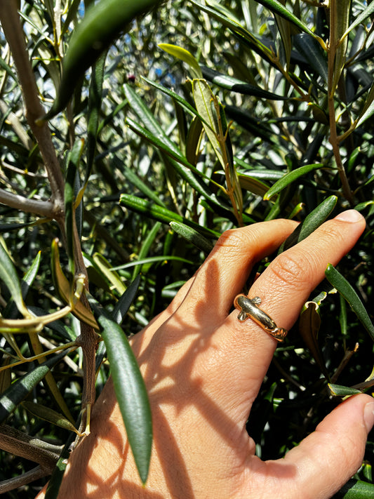 Tuna Ring - 9ct yellow gold