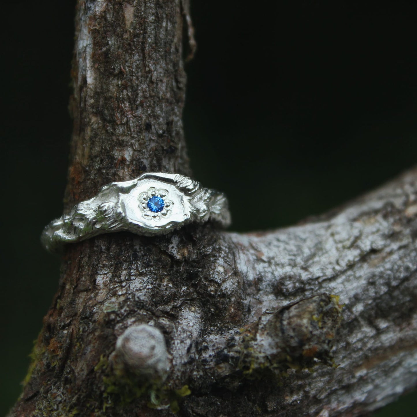 Mirror Lake Signet - Spinel & Sterling Silver