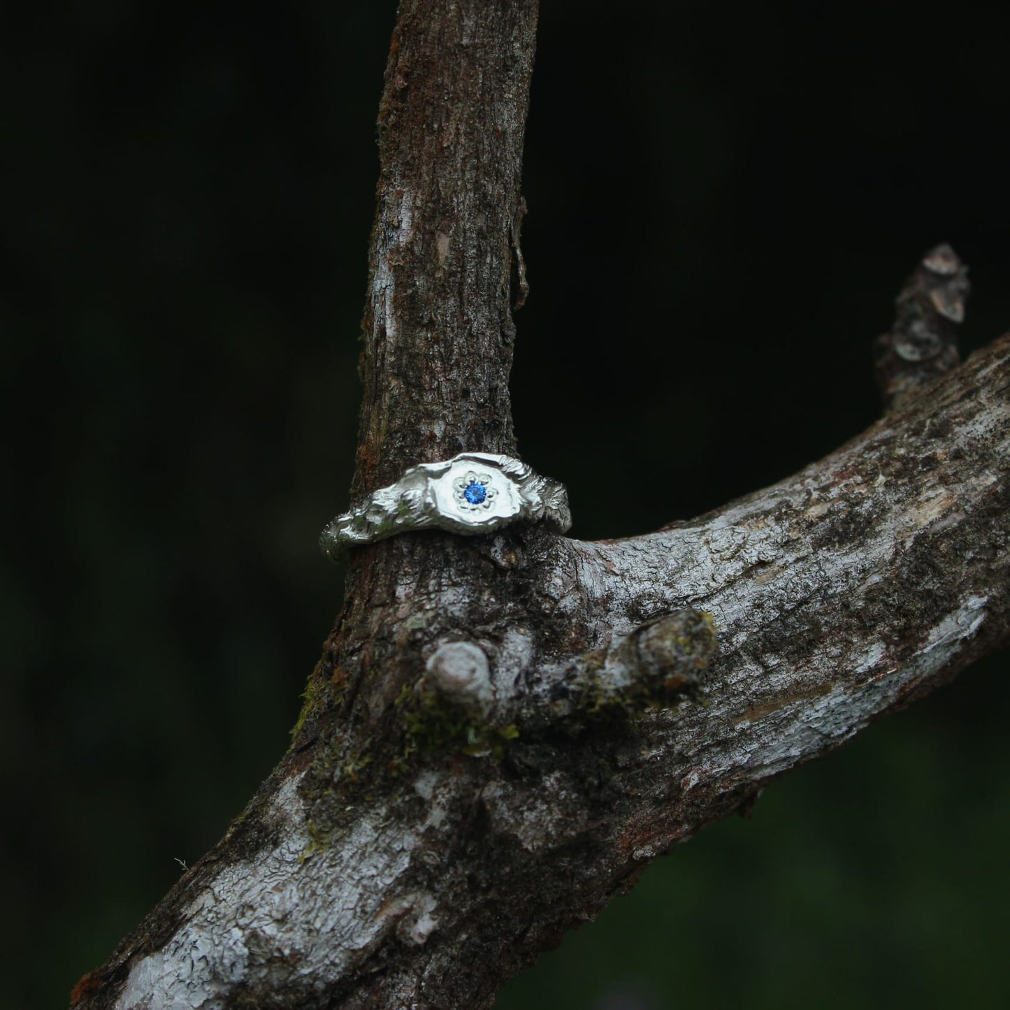 Mirror Lake Signet - Spinel & Sterling Silver