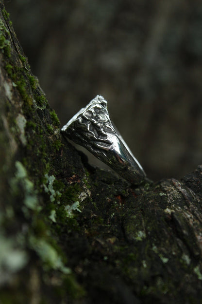 Warrior Signet Ring