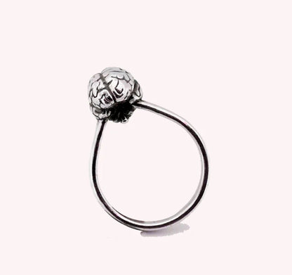 Brain Anatomical Ring
