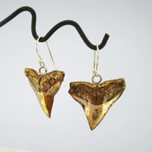 Load image into Gallery viewer, Bronze shark teeth earrings hang on silver hooks. By Keri-Mei Zagrobelna
