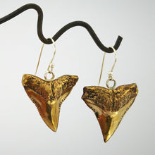 Load image into Gallery viewer, Bronze shark teeth earrings hang on silver hooks. By Keri-Mei Zagrobelna
