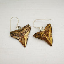 Load image into Gallery viewer, This photo shows the front and the back of the bronze shark teeth earrings. By Keri-Mei Zagrobelna
