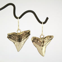 Load image into Gallery viewer, White bronze shark teeth earrings hang on silver hooks. By Keri-Mei Zagrobelna
